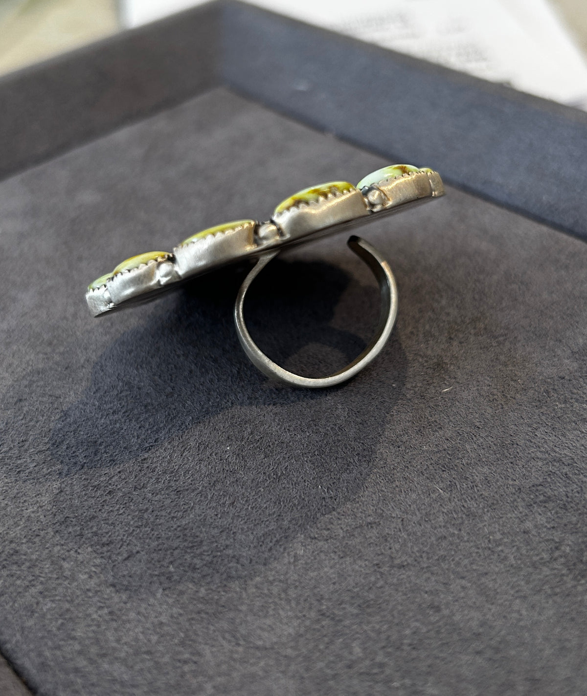 Palomino with Liberty Coin Ring